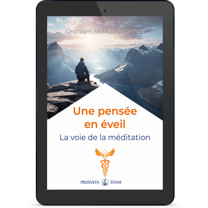 Une pensée en éveil - La voie de la méditation