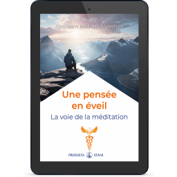 Une pensée en éveil - La voie de la méditation (eBook)