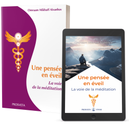 Une pensée en éveil - La voie de la méditation (eBook)