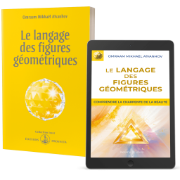 Le langage des figures géométriques (eBook)