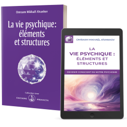 La vie psychique : éléments et structures (eBook)