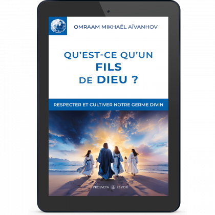 Qu'est-ce qu'un fils de Dieu ? (eBook)