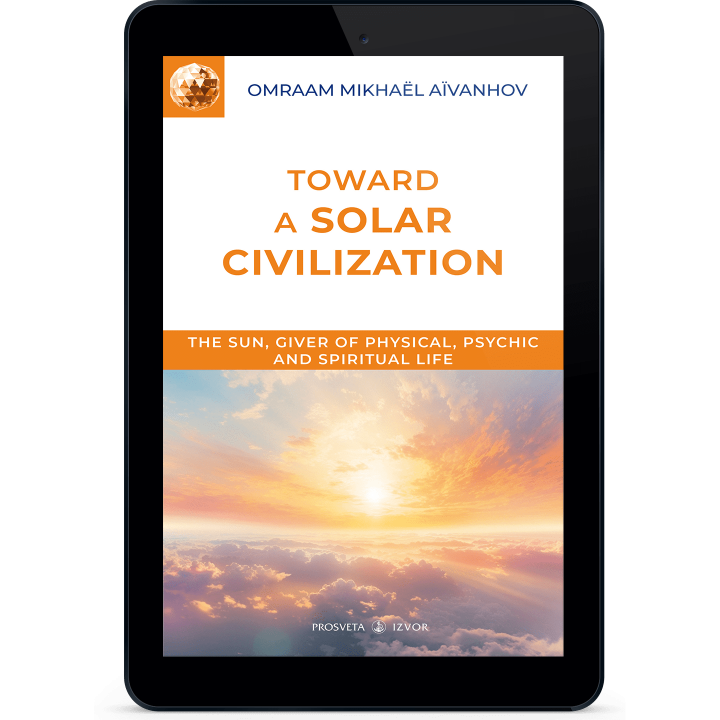 Toward a Solar Civilization (eBook)