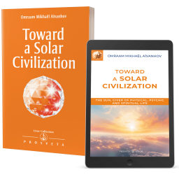 Toward a Solar Civilization (eBook)