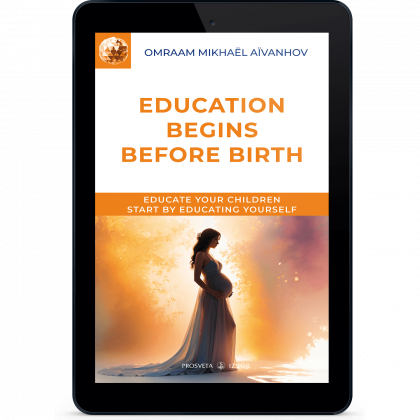 Education Begins Before Birth (eBook)