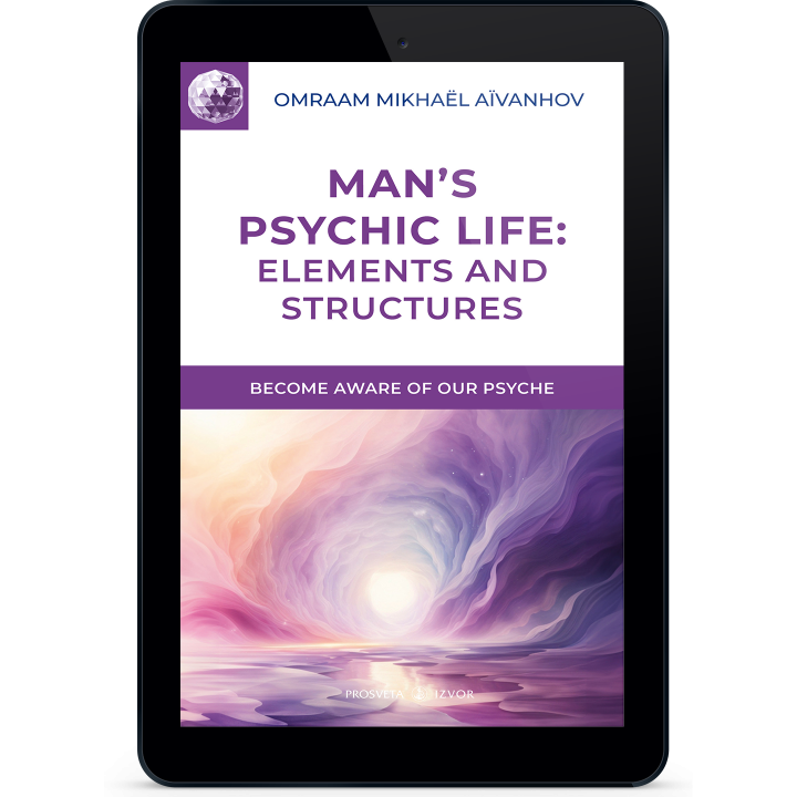 Man's Psychic Life : Elements and Structures (eBook)