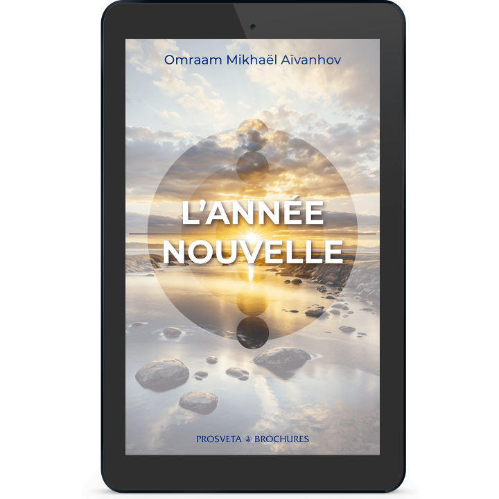 L'année nouvelle (eBook)