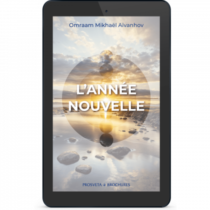 L'année nouvelle (eBook)