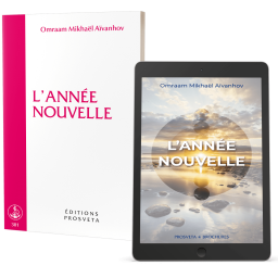 L'année nouvelle (eBook)