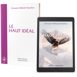 Le haut idéal (eBook)