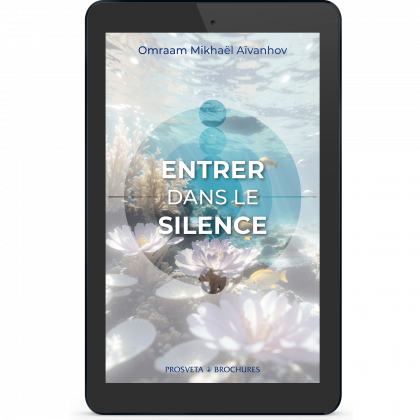 Entrer dans le silence (eBook)