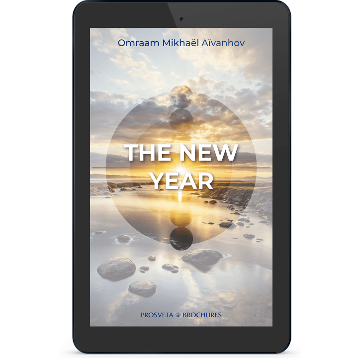 The New Year (eBook)