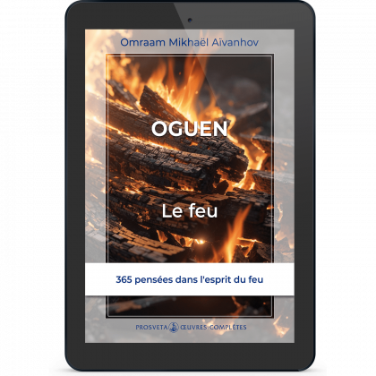 Oguen, le feu (eBook)
