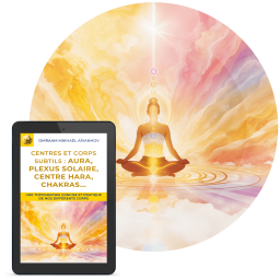 Centres et corps subtils : aura, plexus solaire, centre hara, chakras... (eBook)