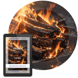 Oguen, le feu (eBook)