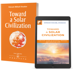 Toward a Solar Civilization - Paper and digital editions