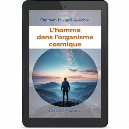 L'homme dans l'organisme cosmique