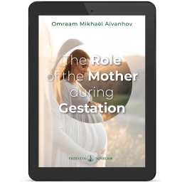 The Role of the Mother during Gestation