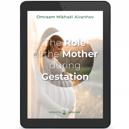 The Role of the Mother during Gestation