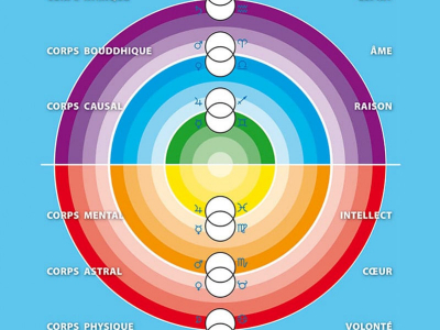 Politics and human nature: understanding personality and the individua